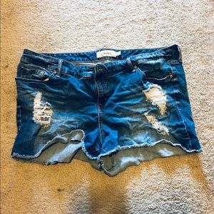 Torrid Size 22 Distressed Cutoff Shorts PLUS